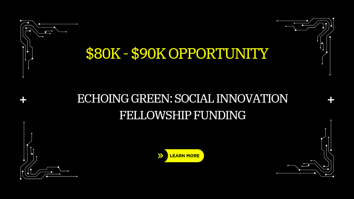 Echoing Green: Social Innovation Fellowship Funding: $80K – $90K Opportunity